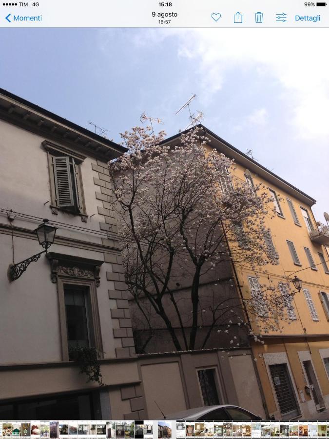 Magnolia Bed & Breakfast Casale Monferrato Exterior photo